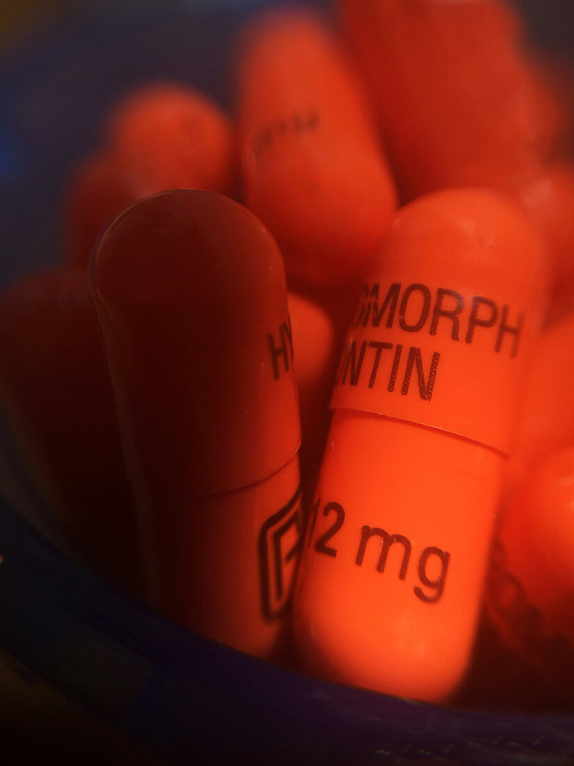 Hydromorphone, Prescription Opioid