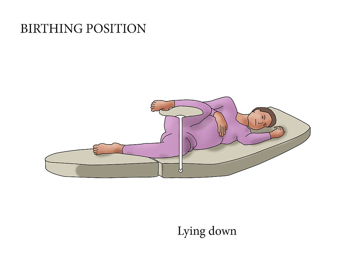 Lying Down Birthing Position, illustration