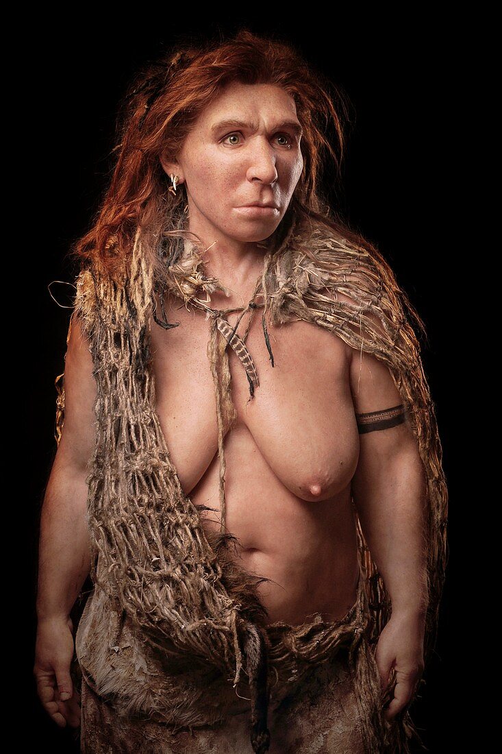 Female Neanderthal model