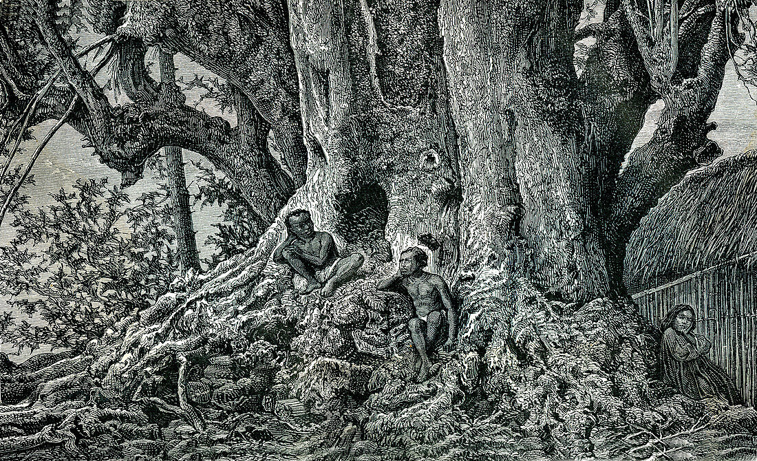 Nuku Hiva Pacific islanders, 19th century