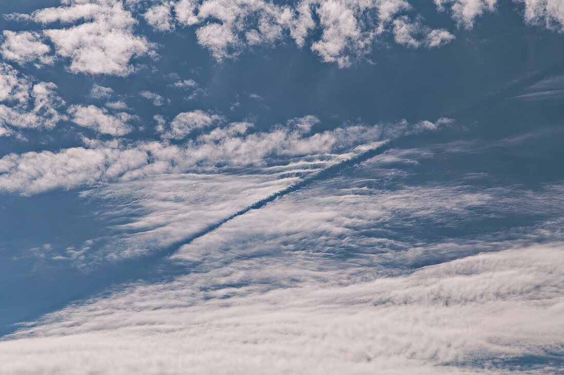 Aircraft distrail in altocumulus clouds