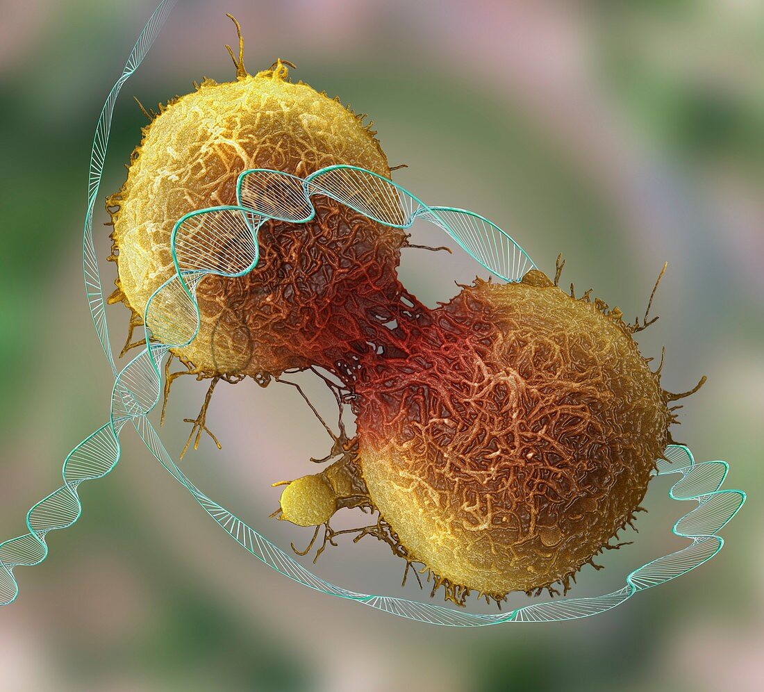 Cancer and DNA, conceptual composite image