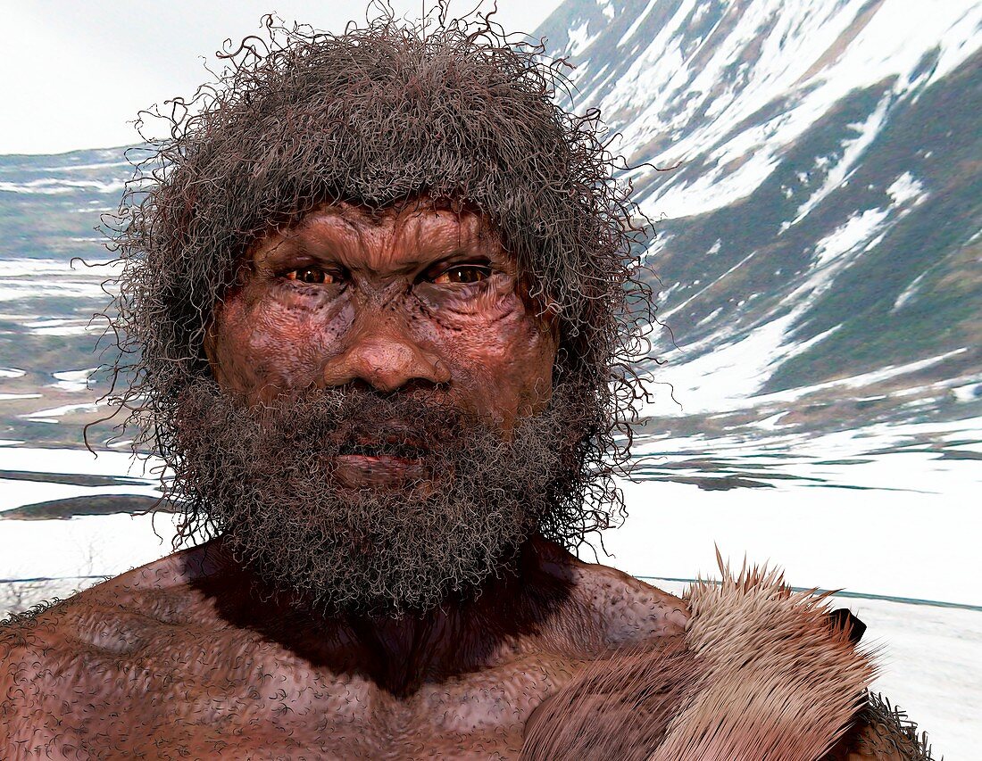Homo heidelbergensis, illustration