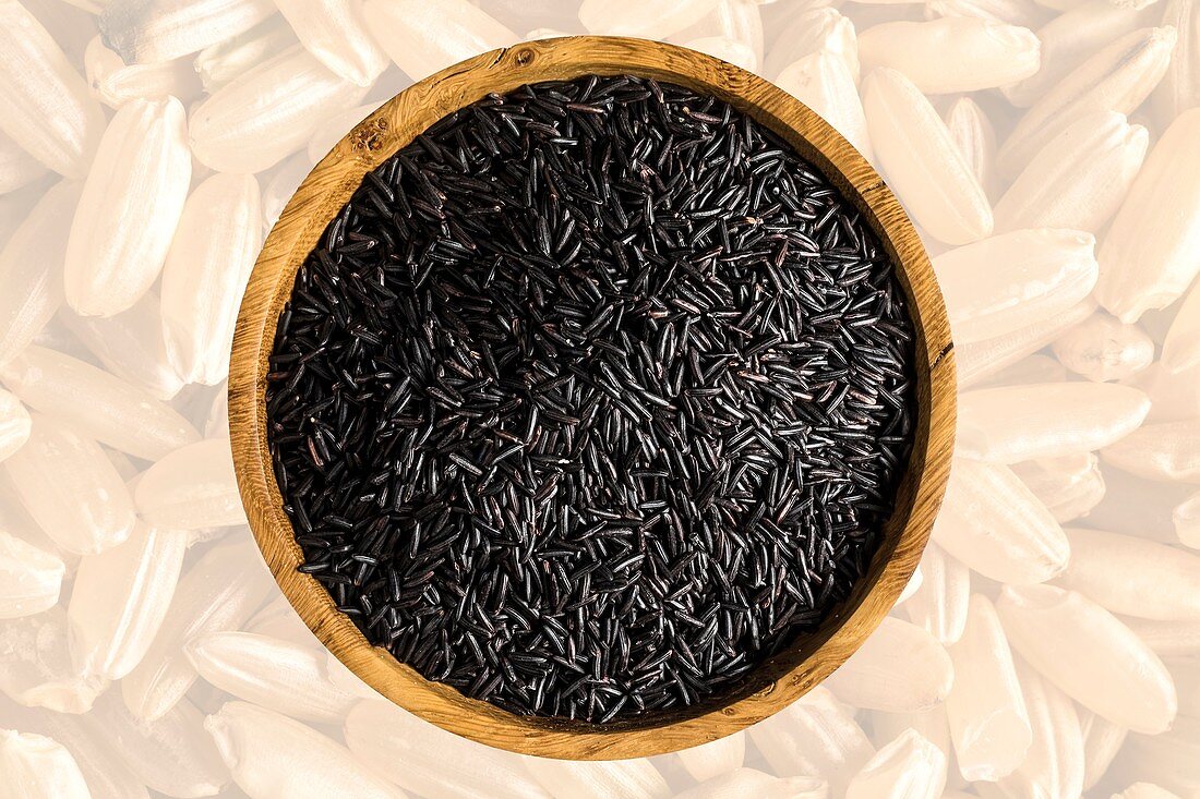 Camargue black rice