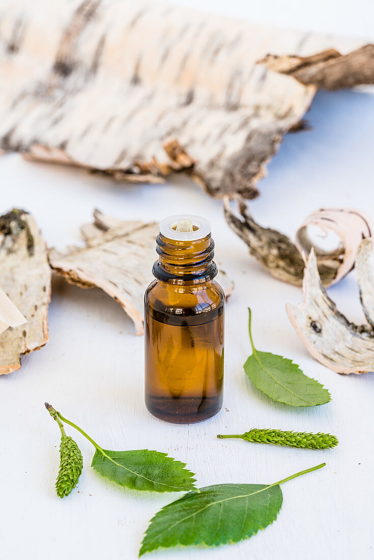 Birch essential oil