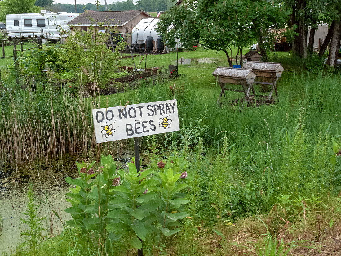 Do not spray bees sign, Michigan, USA