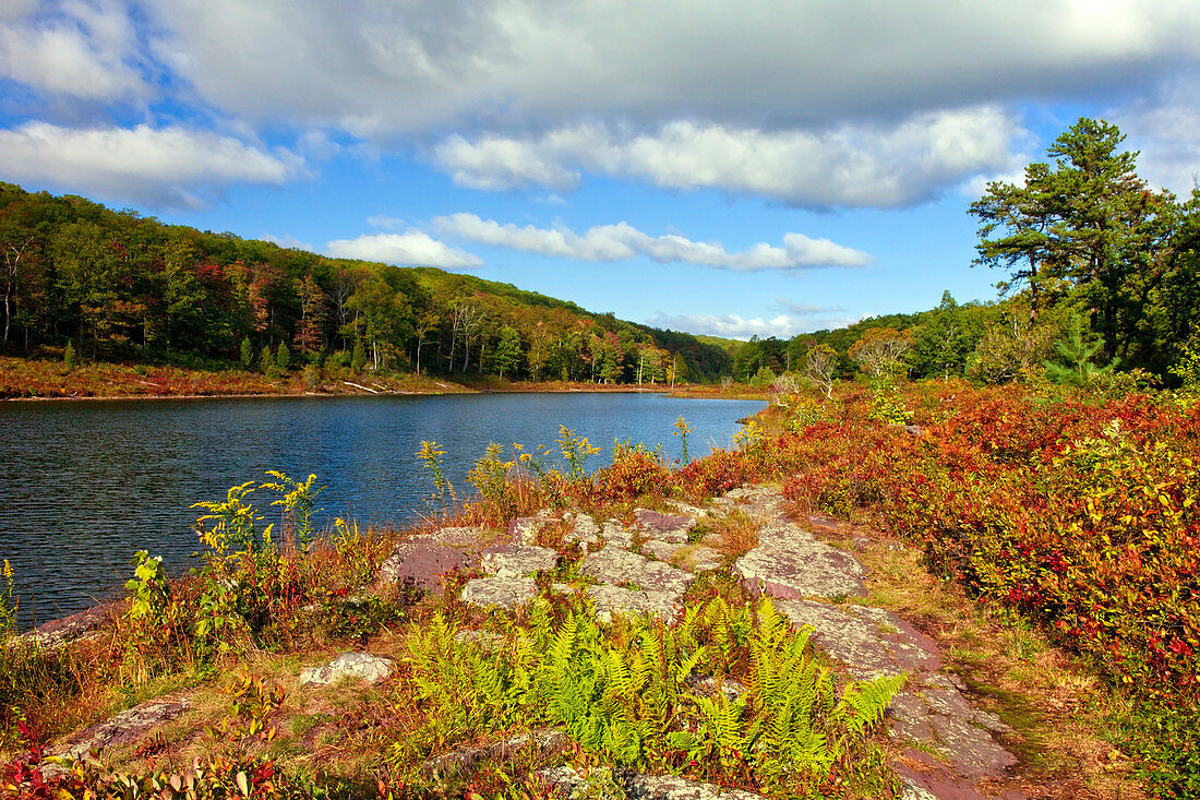 Blue Mountain Lake