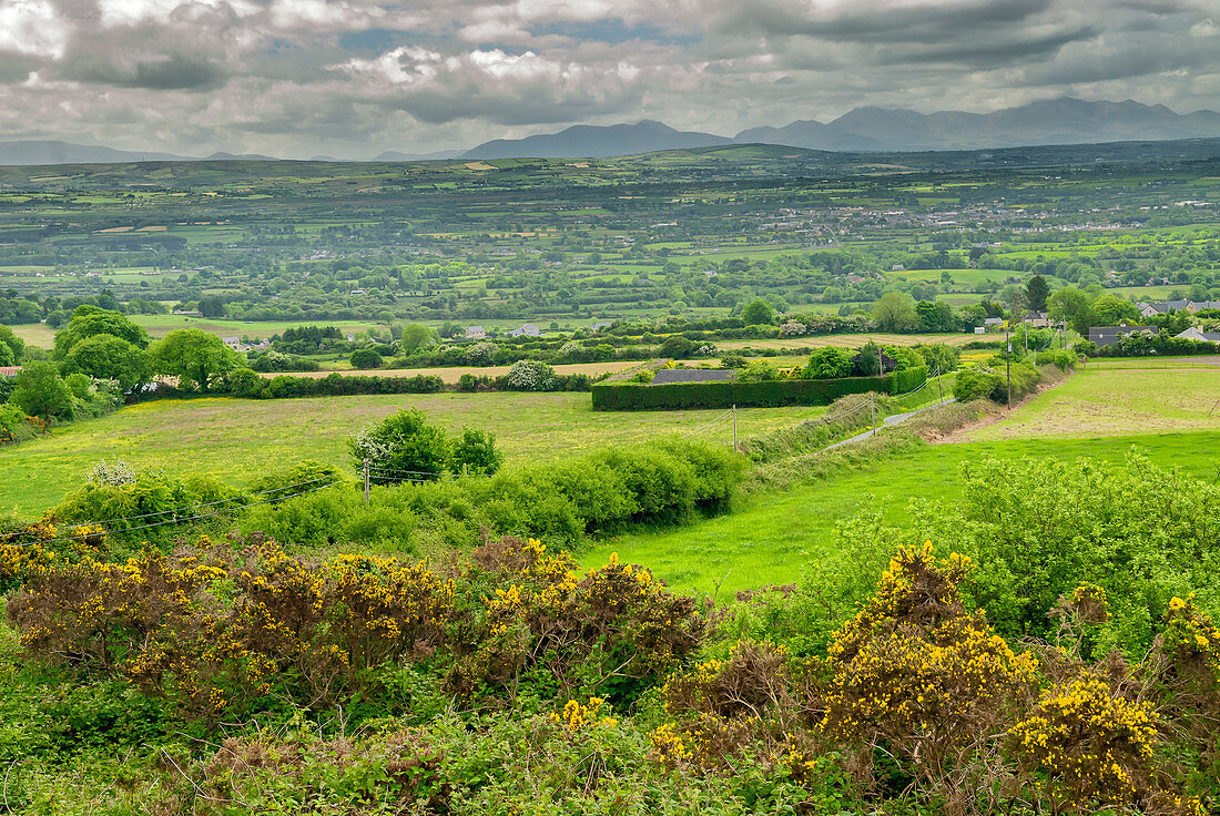 Road To Limerick, Ireland