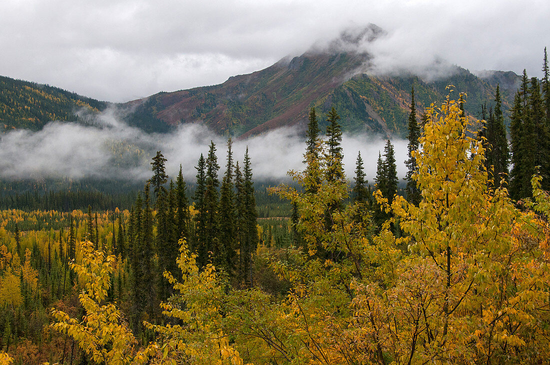 Autumn in Alaska