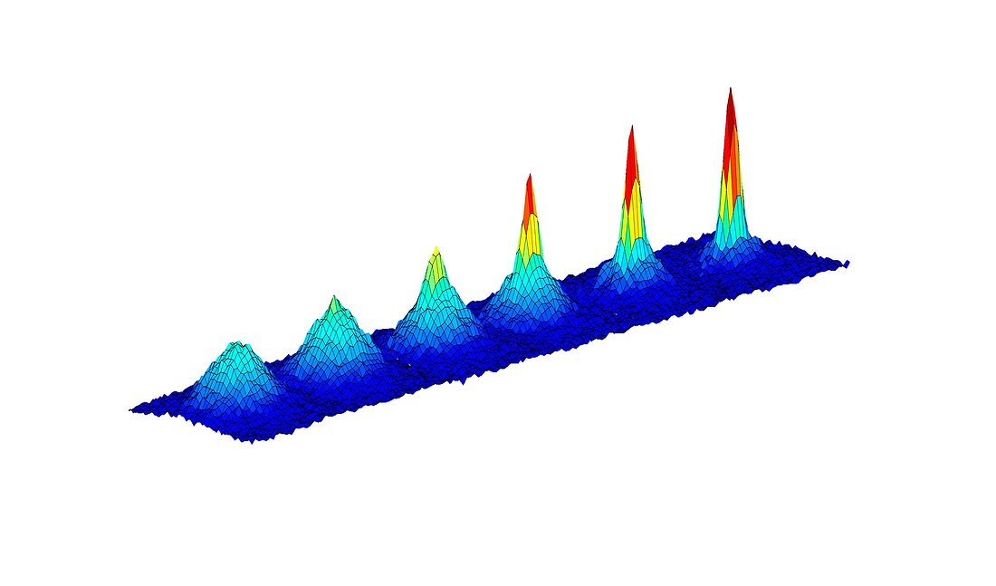 Bose-Einstein condensate, temperature contour plot