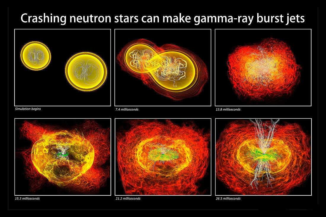 Merger of two neutron stars, simulation