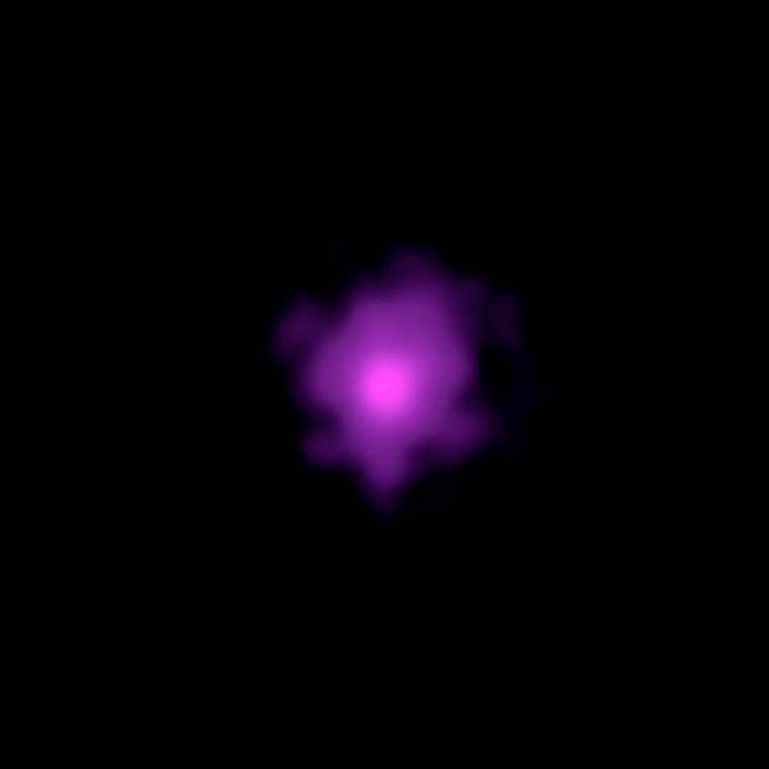 Pulsar in M82, NuSTAR image