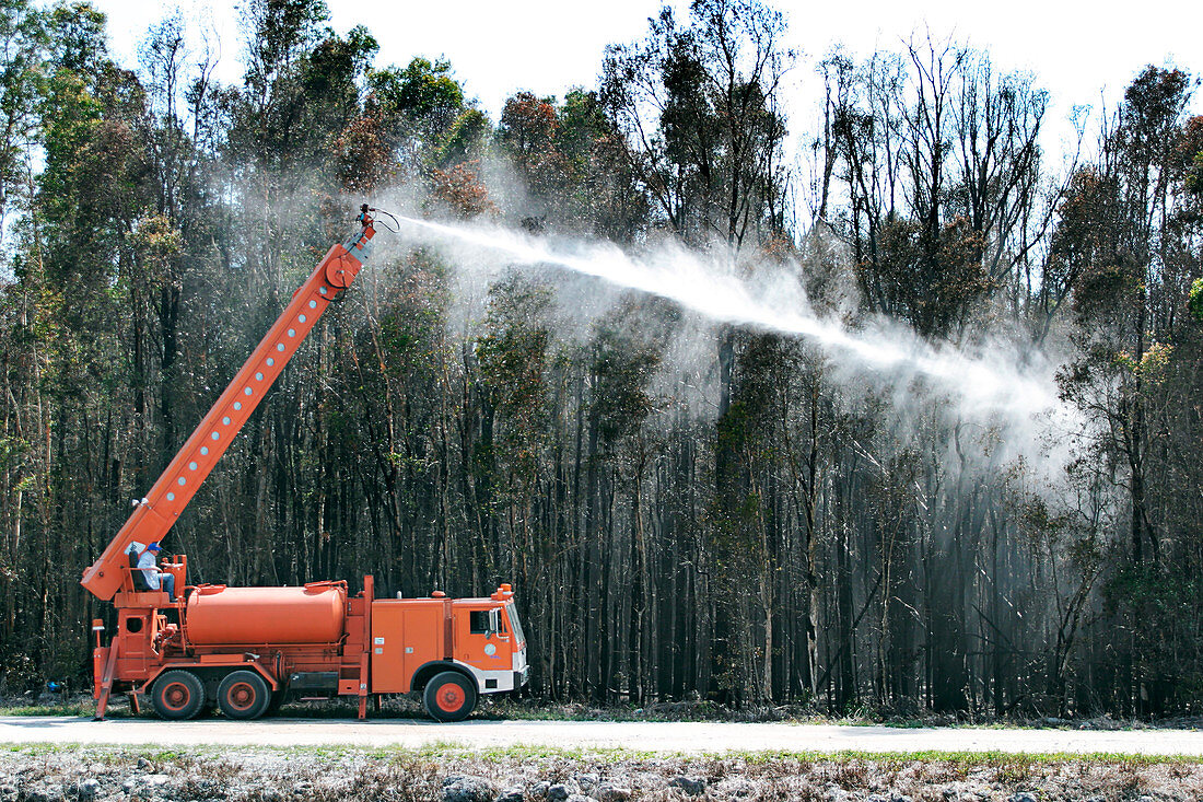 Firemen spraying water at trees, Florida, USA