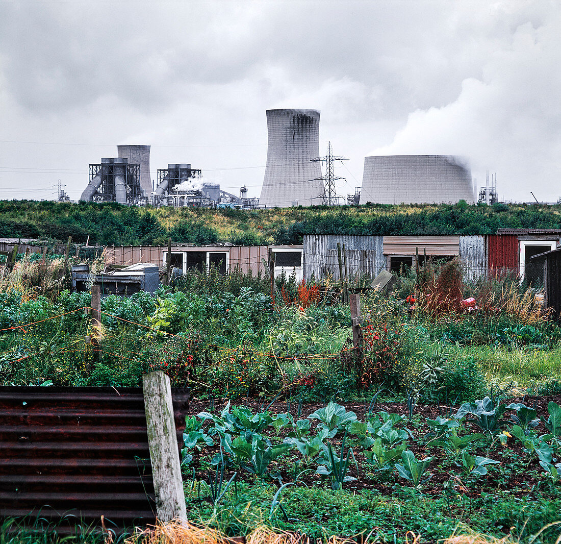 Allotment next to heavy industry, Teesside, UK