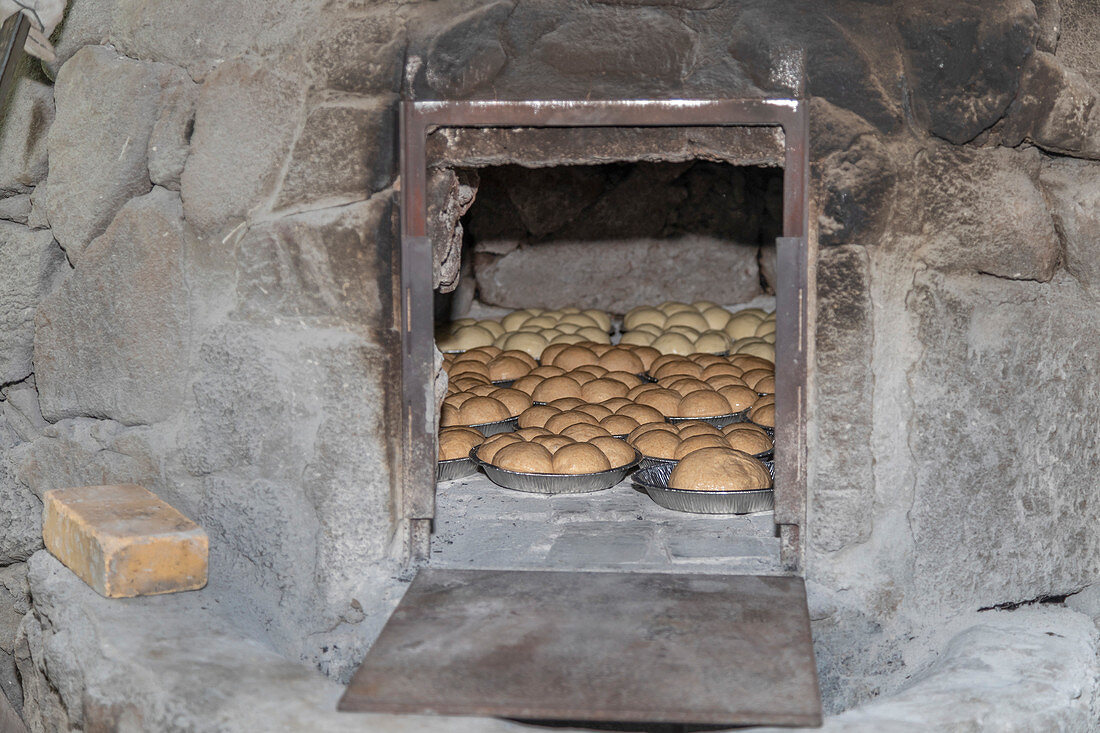 Bread baking with Portuguese stone oven, Hawaii