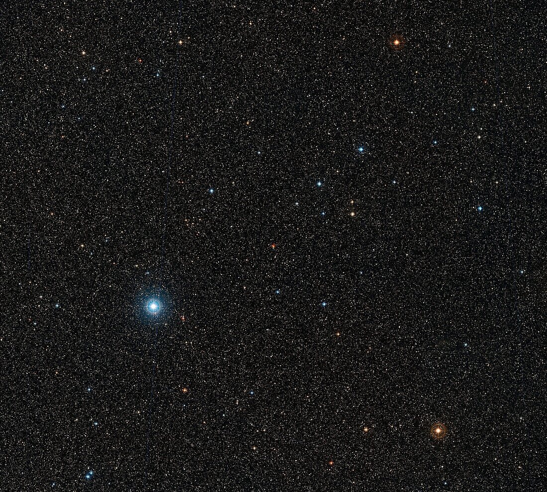 Barnard's Star and surrounds, optical image