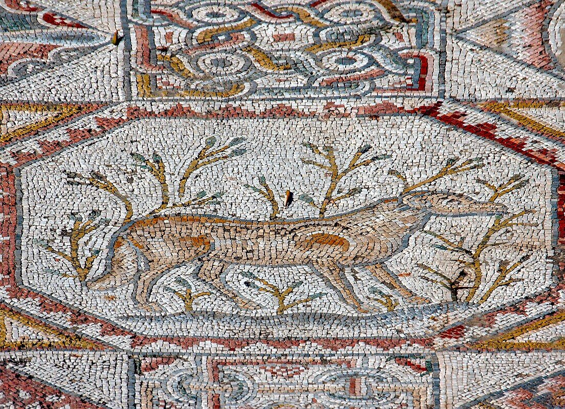 Mosaic floor of a monastery from Bet Guvrin, Israel