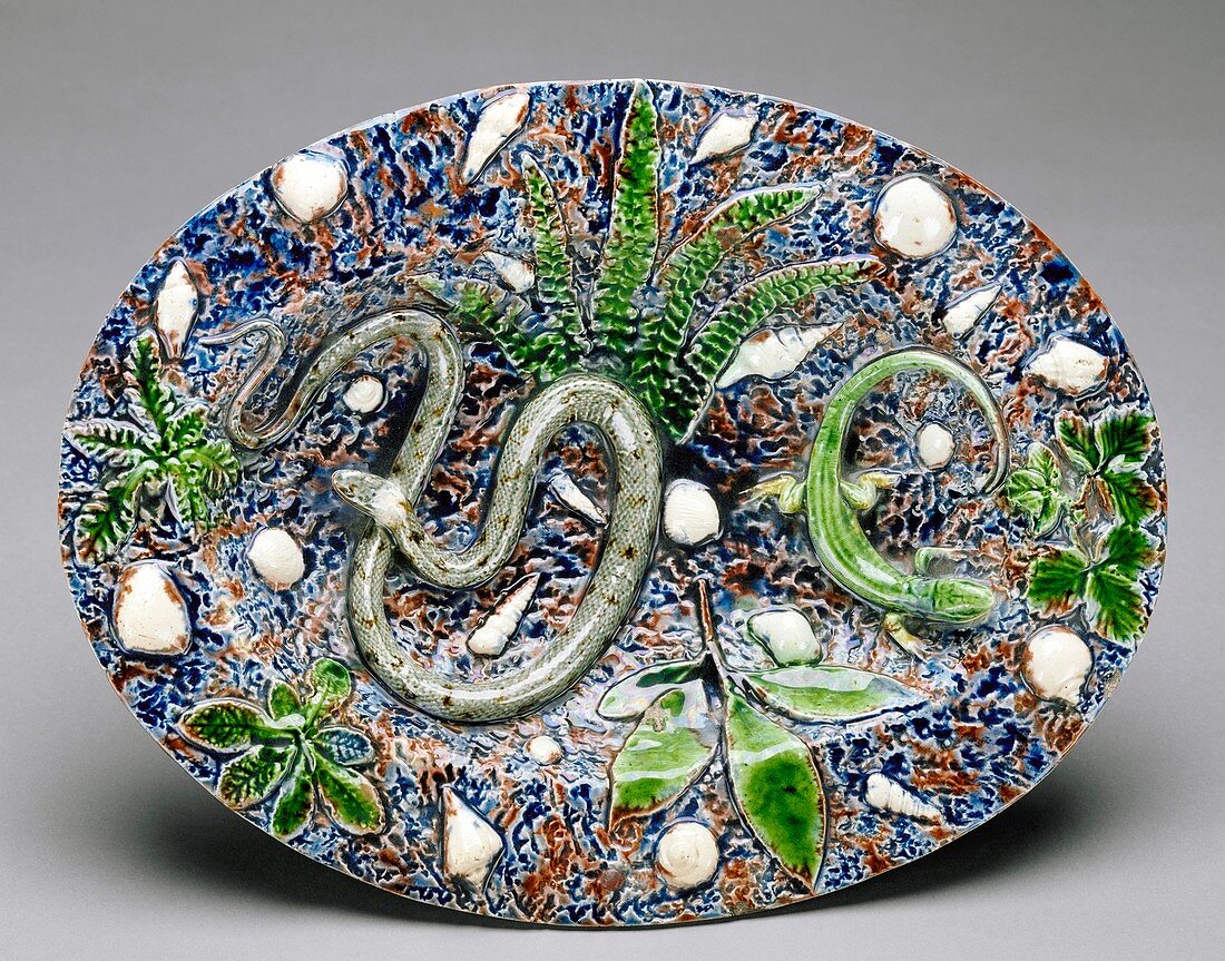 Ceramic dish by Bernard Palissy