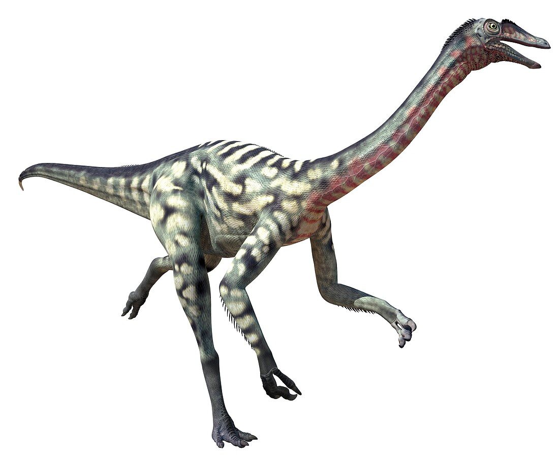 Deinocheirus, illustration