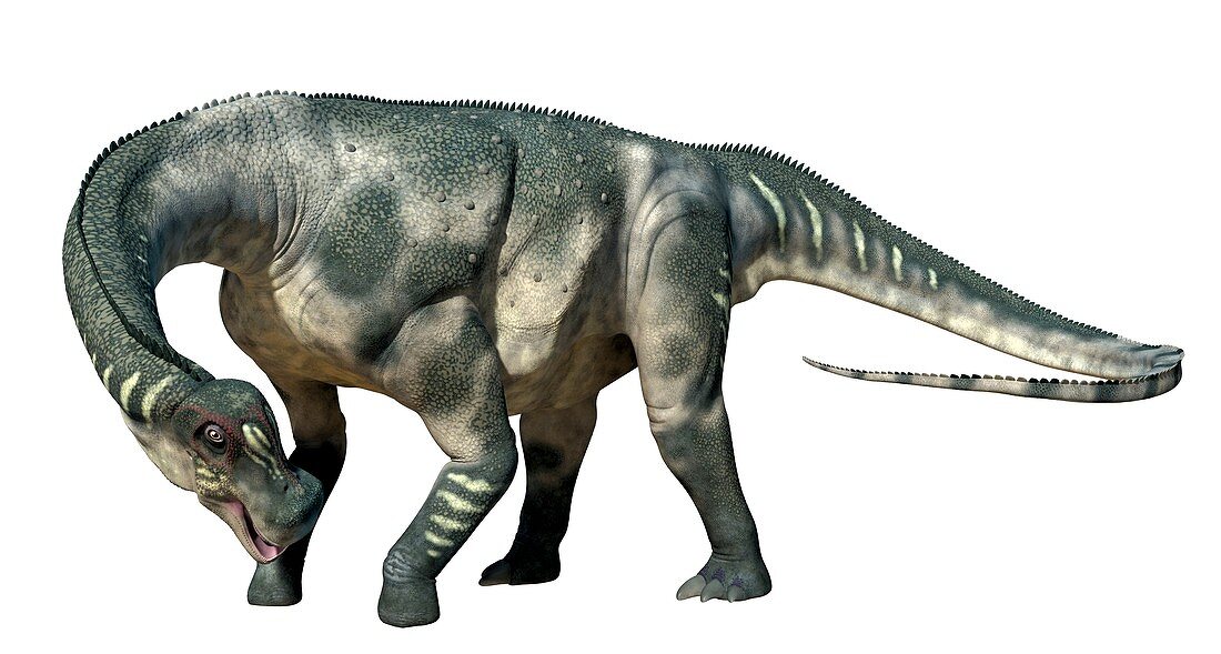 Hypselosaurus, illustration