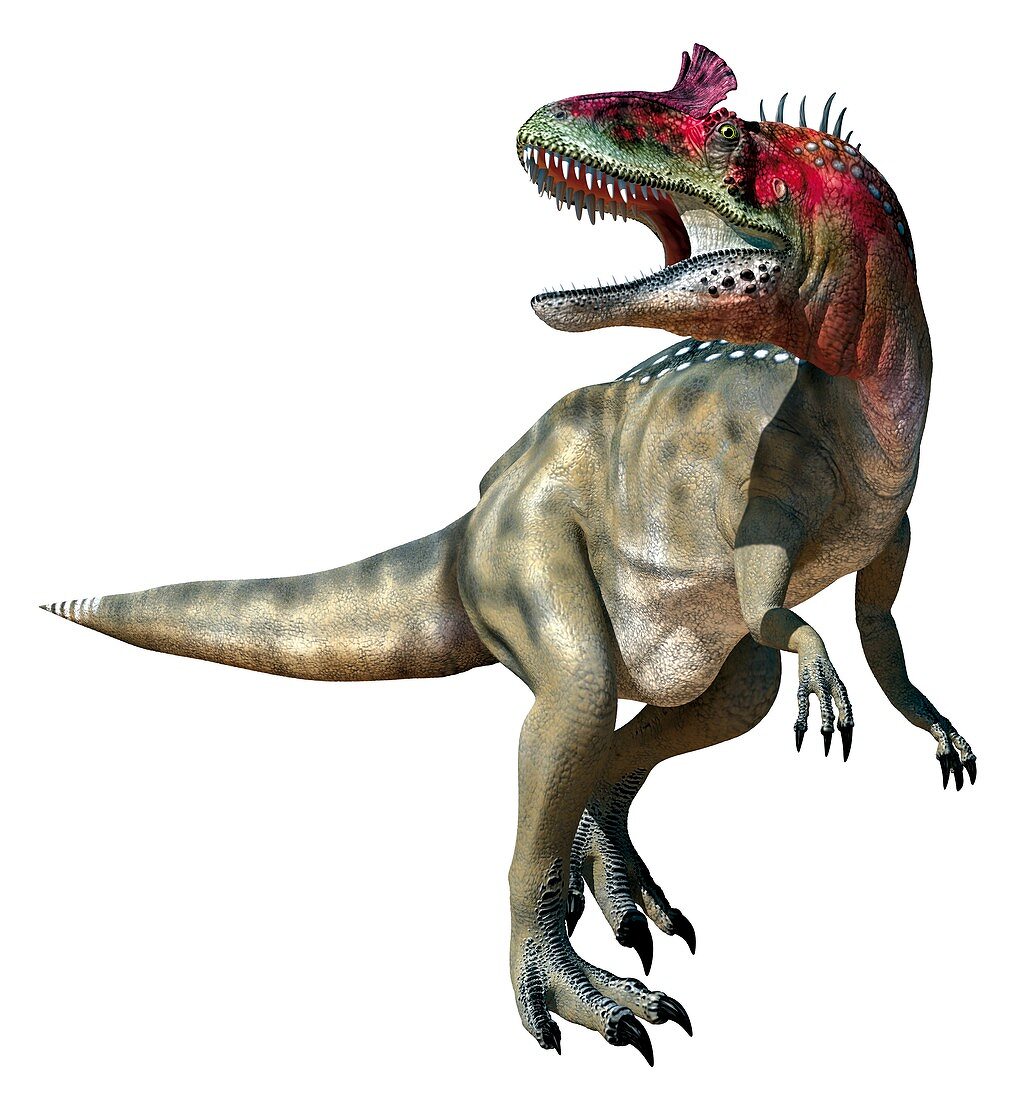 Cryolophosaurus, illustration
