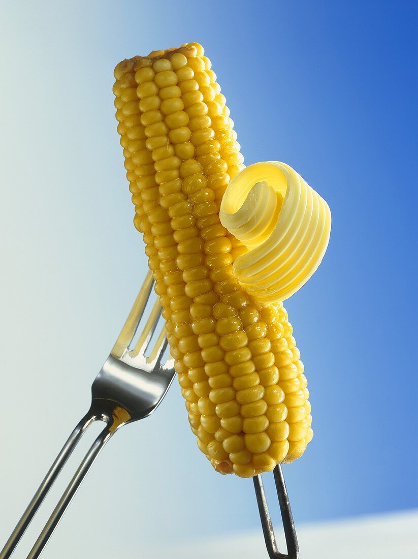 Corn on the Cob on Fork; Butter Curl