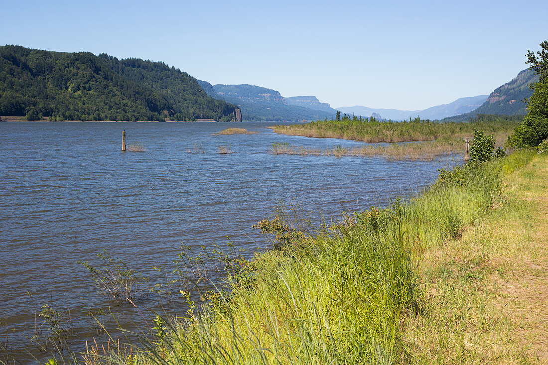 Columbia River at High Water, June