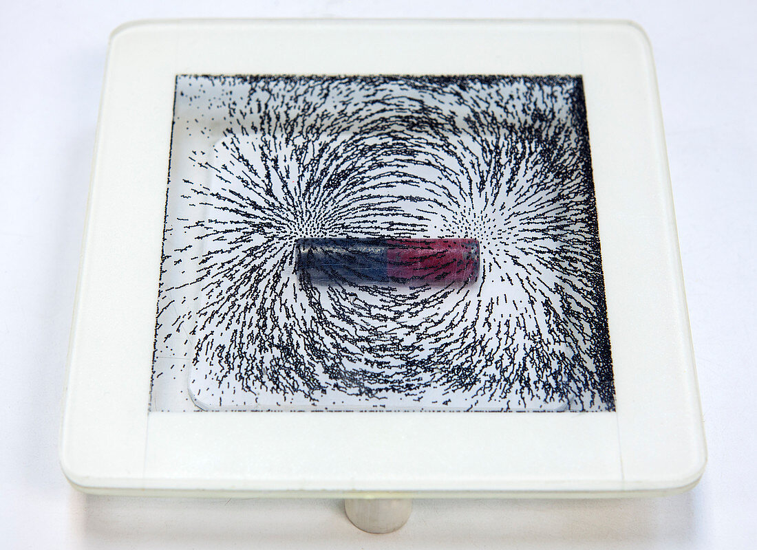 Magnetic Field Lines
