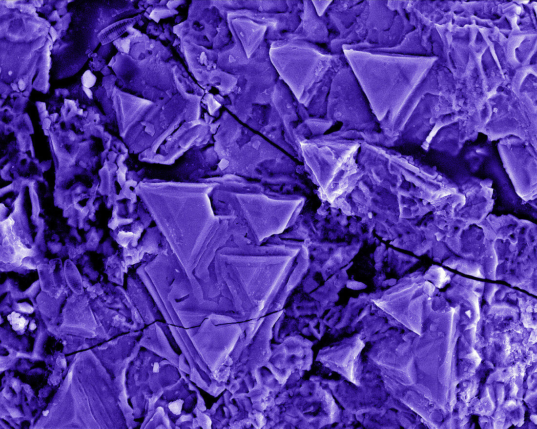 Micrometeorite Structure SEM