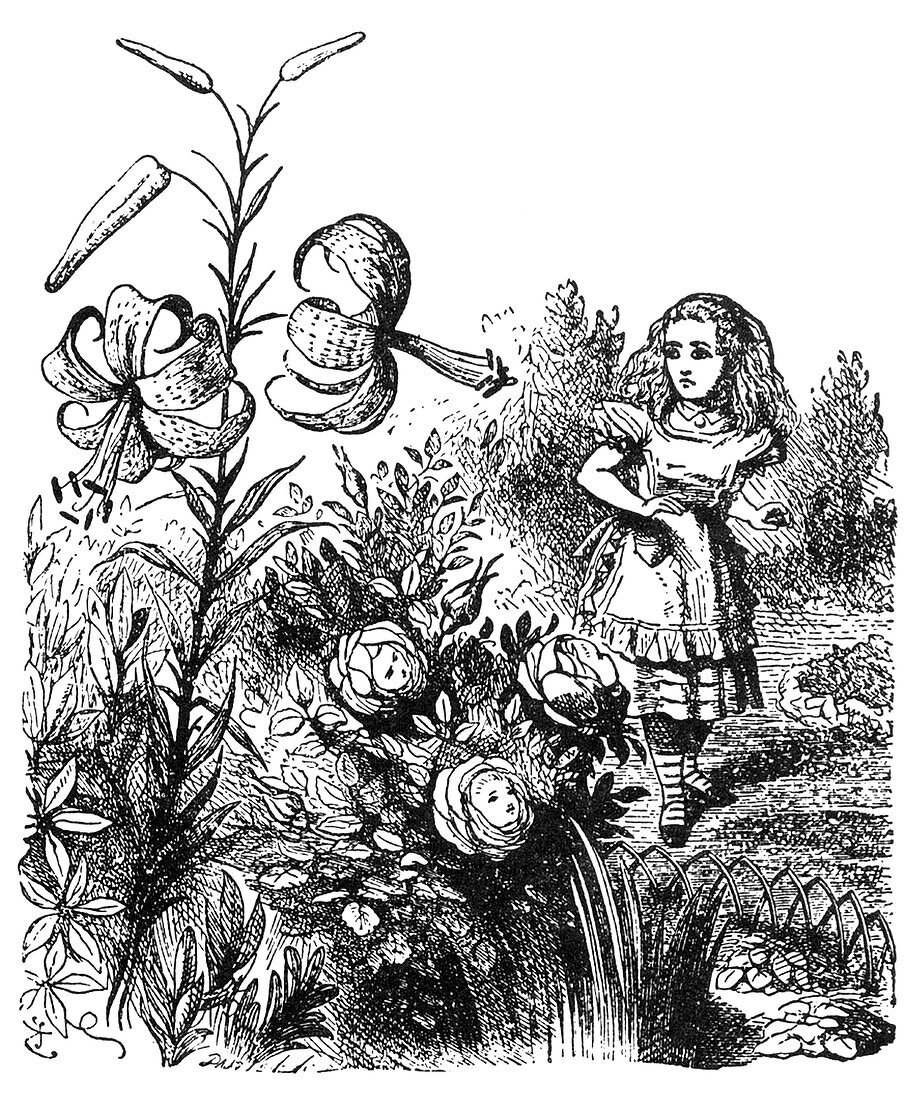 Alice In the Garden of Live Flowers