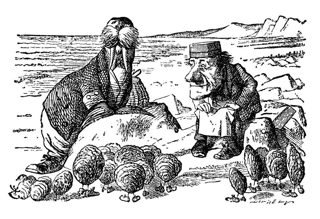 The Walrus, the Carpenter and the Little Oysters