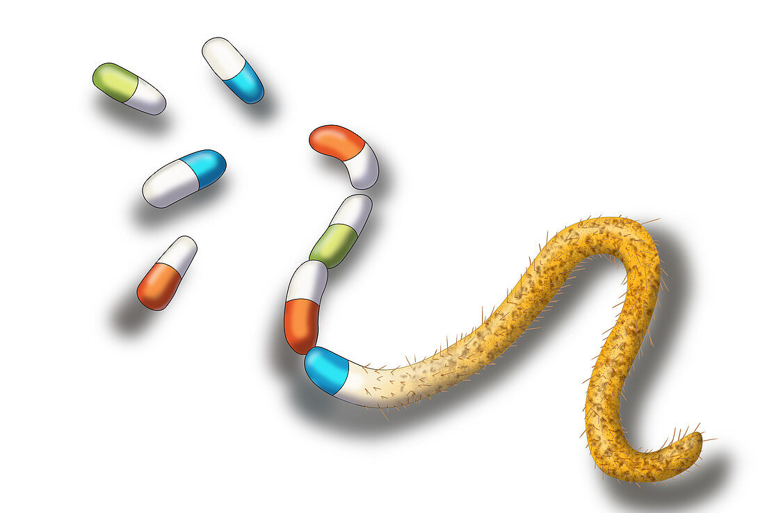 Antibiotic Resistant Bacteria, Illustration