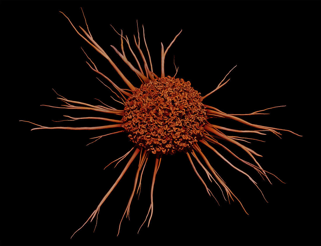 Cancer Cell, 3D Illustration