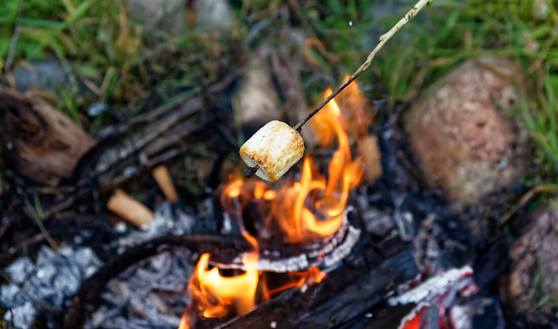 Roasting a marshmallow over a summer campfire