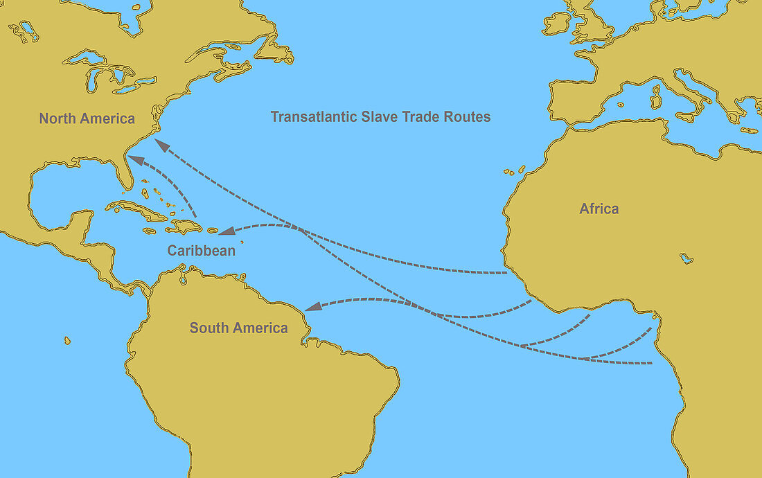 Transatlantic Slave Trade Routes, 16th-19th Centuries