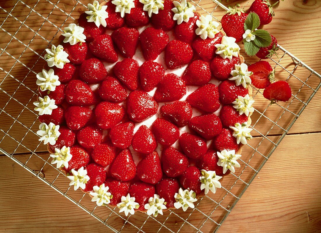Strawberry gateau with fresh strawberries & cream rosette edge