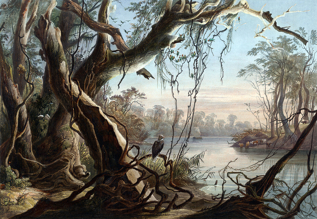 Fox River, Tributary of the Wabash River, 1830s