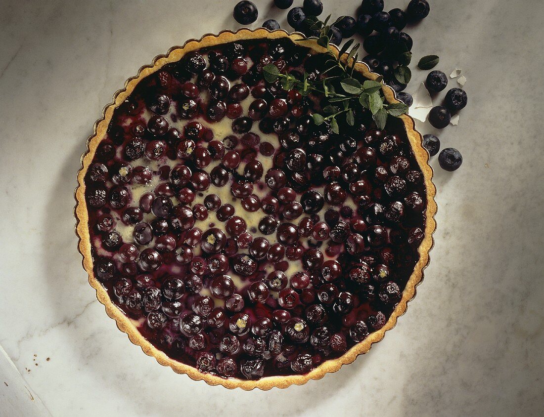 Heidelbeertorte in der Kuchenform