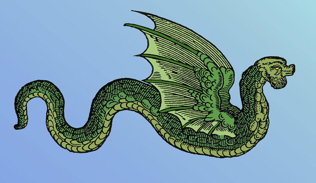 Winged Serpent, Legendary Creature