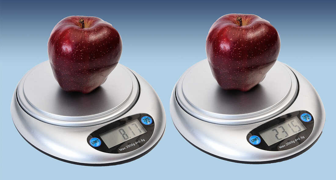 Apple Weight in Ounces and Grams