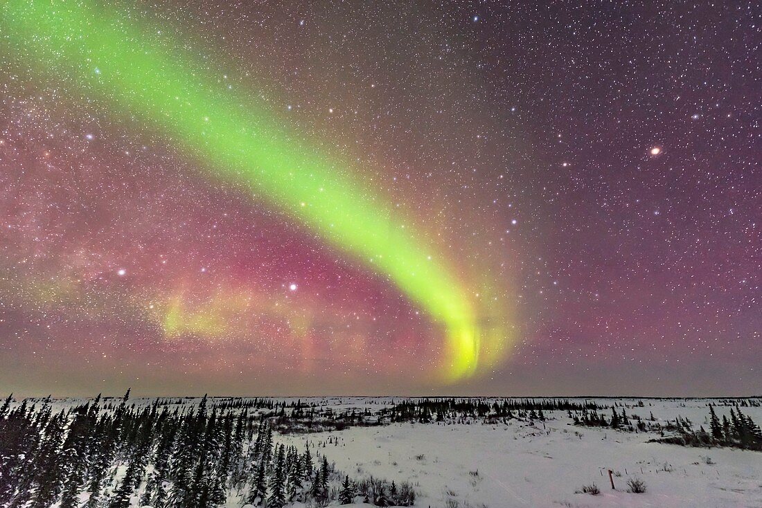 Dim Auroral Arc with Inuit Navigation Stars