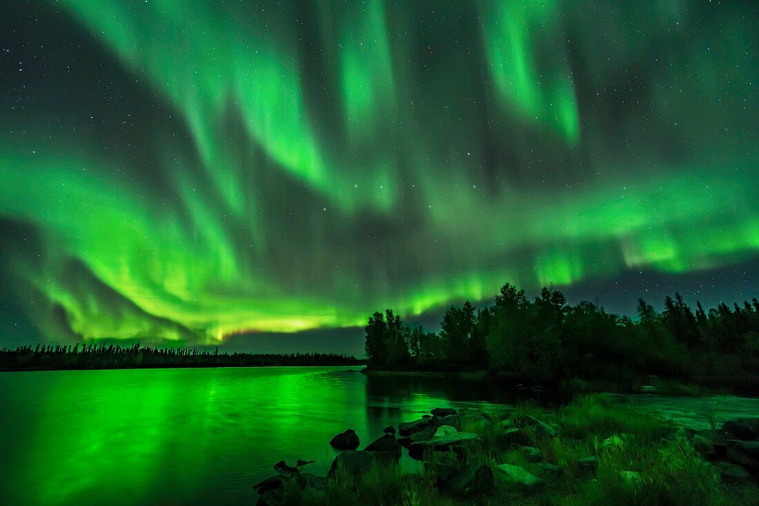 Sky-Filling Aurora at Tibbitt Lake, Canada