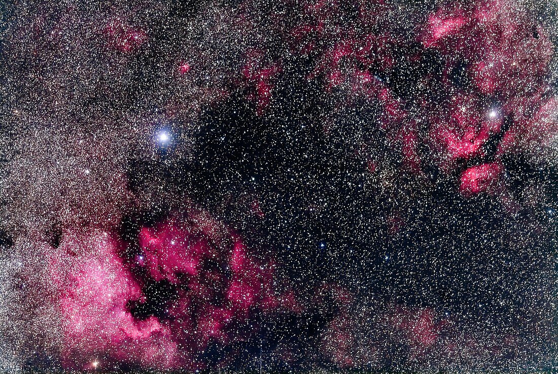 Nebulosity in Cygnus
