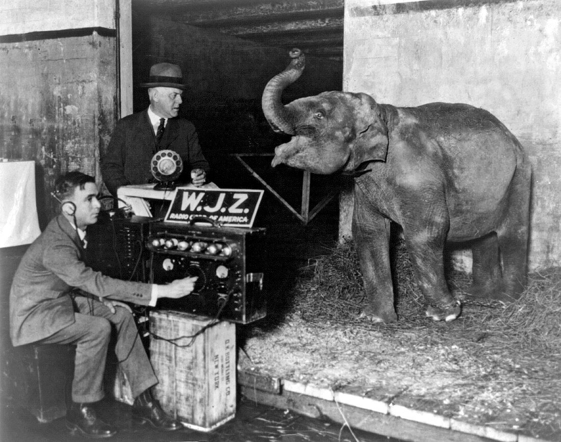 First Circus Radio Broadcast, 1925
