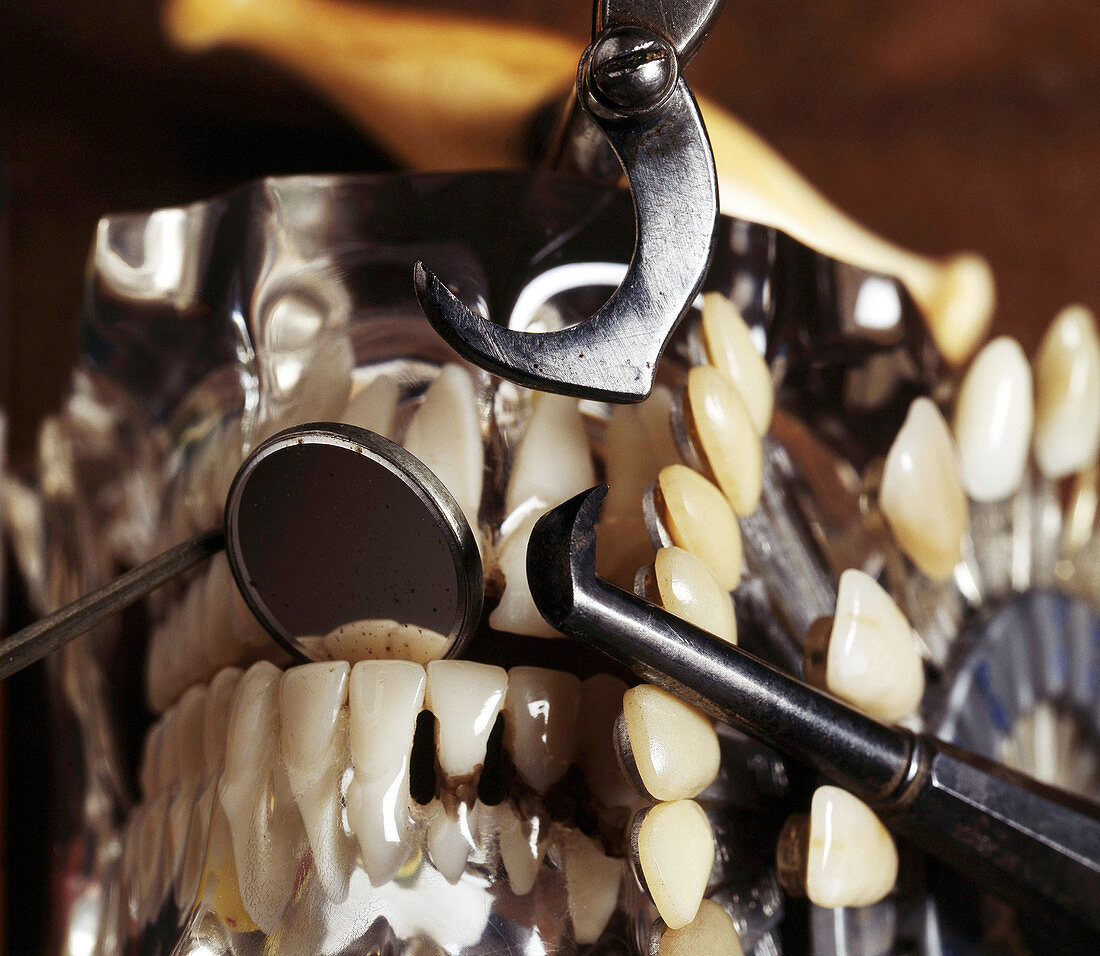 Plastic Teeth, Historical Medicine