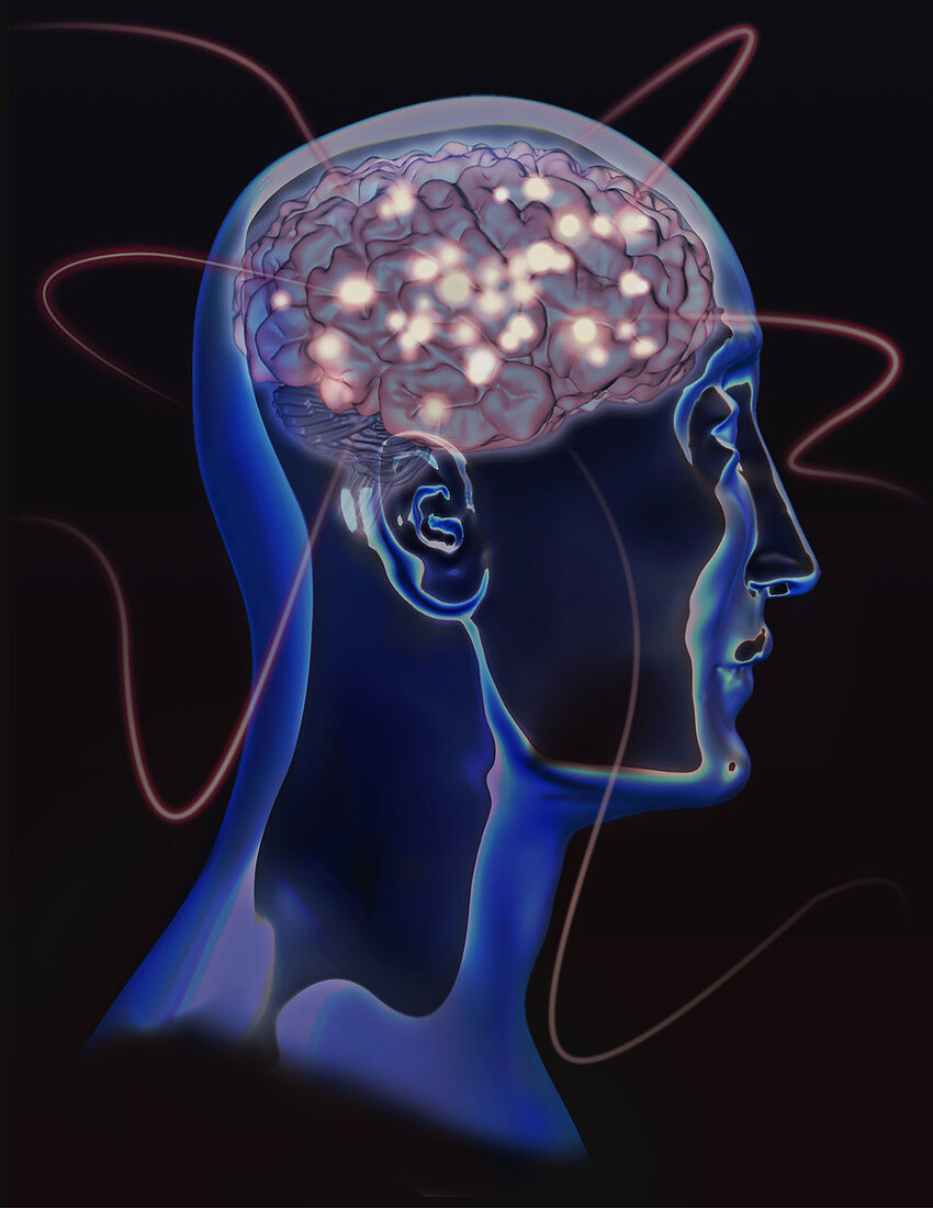 Brain Activity, Conceptual Illustration