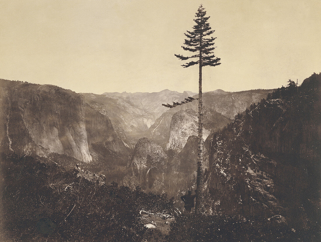 Yosemite Valley, Mariposa County, CA, 1864