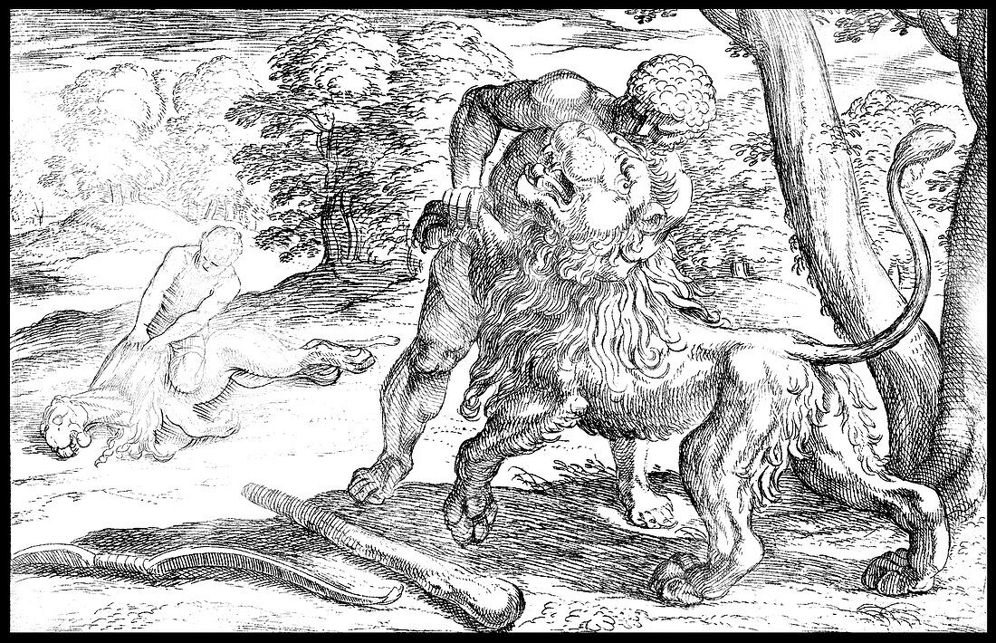 Labors of Hercules, Slay the Nemean Lion