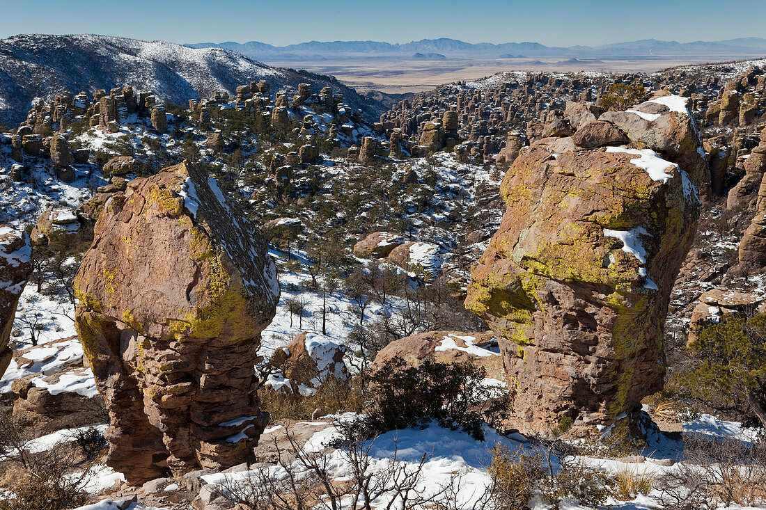 Snow at Chiricahua National Monument