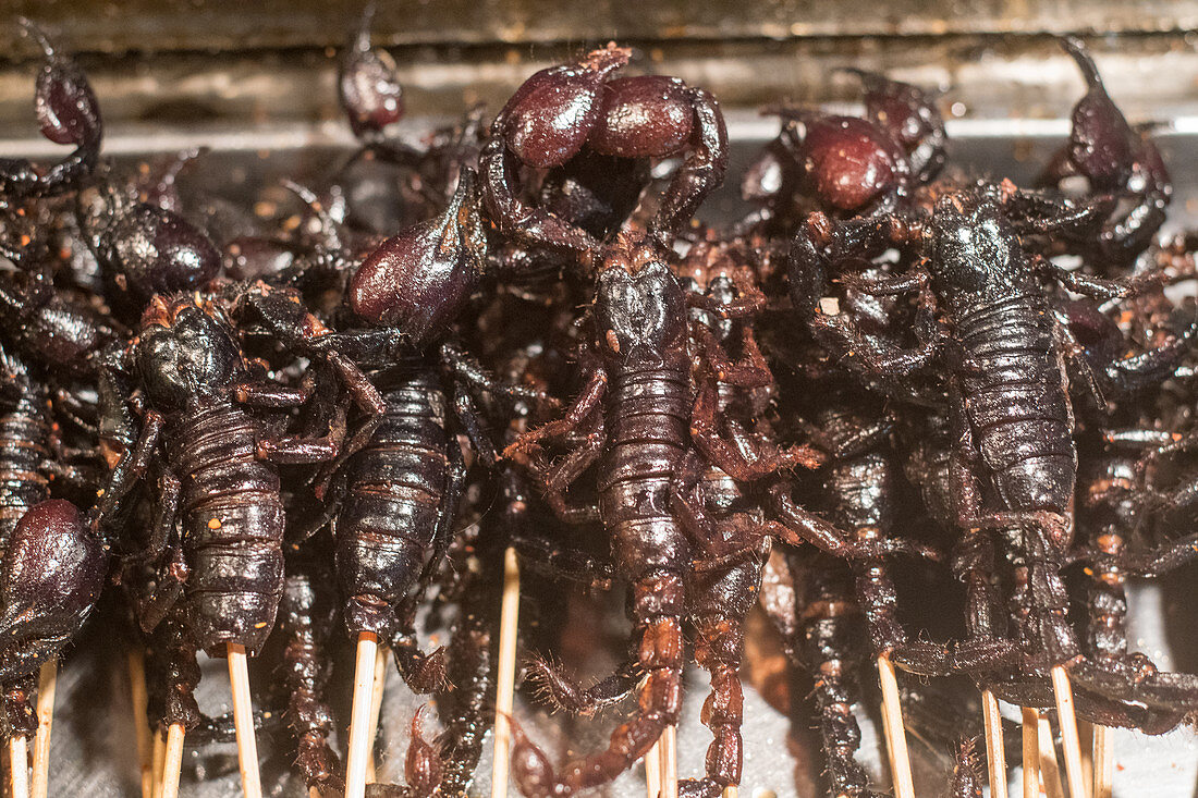 Cooked scorpions on sticks